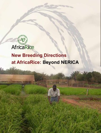 Beyond NERICA - Africa Rice Center