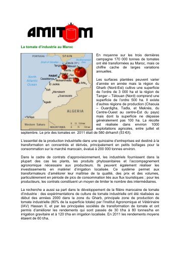 La tomate d'industrie au Maroc En moyenne sur les trois derniÃ¨res ...