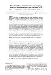 Detección y diferenciación molecular de Leptospira sp. utilizando ...