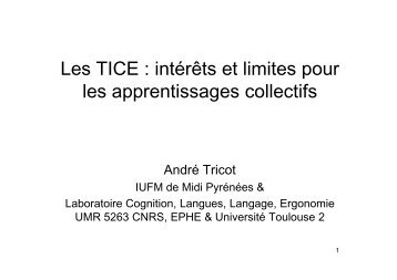 Les TICE : intÃ©rÃªts et limites pour les apprentissages collectifs