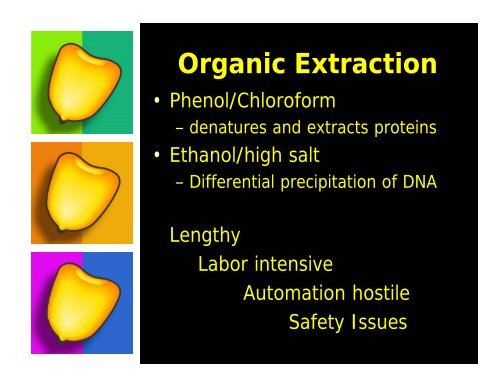 The Importance of DNA Isolation