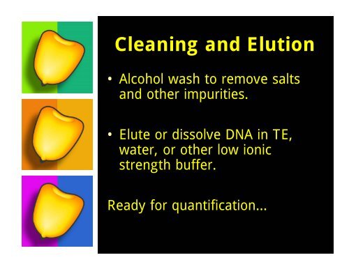 The Importance of DNA Isolation