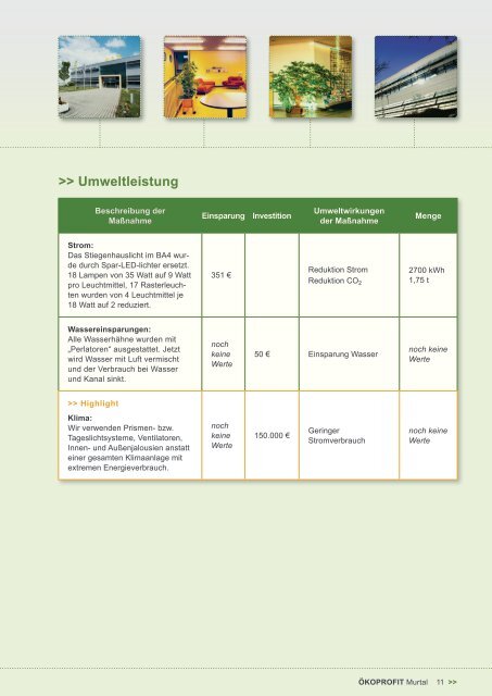 ÃKOPROFIT Murtal AuszeichnungsbroschÃ¼re 2010 - STENUM GmbH