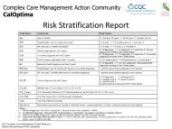 Risk Stratification Report