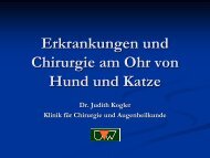 Erkrankungen und Chirurgie am Ohr von Hund und Katze