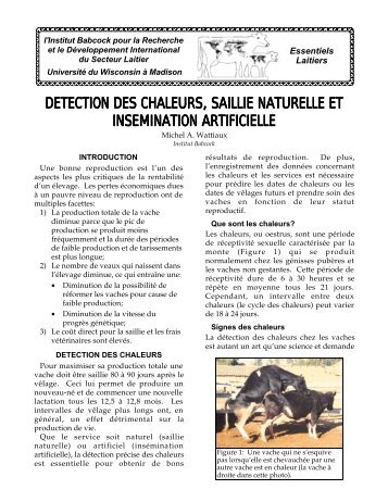 detection des chaleurs, saillie naturelle et ... - Babcock Institute