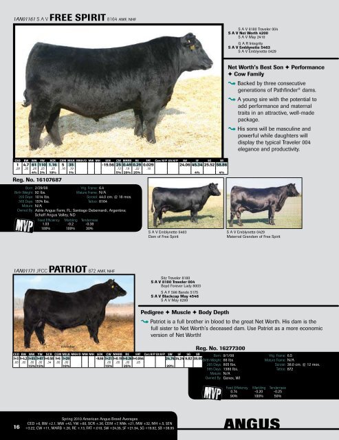 Beef Genetic Management Guide - Angus Journal