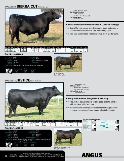 Beef Genetic Management Guide - Angus Journal