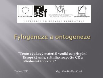 Fylogeneze a ontogeneze