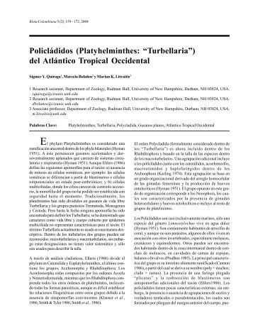 C mo guardar un archivo PDF desde Internet