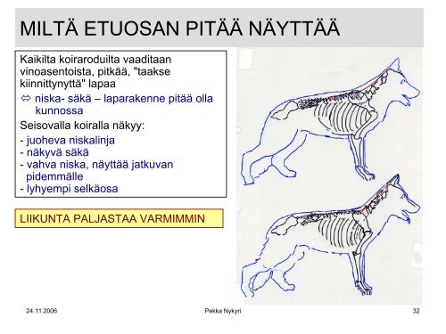 KOIRAN RAKENNE JA LIIKUNTA