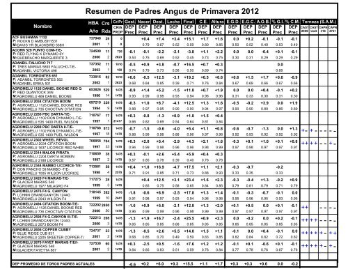 Resumen de Padres Angus de Primavera 2012