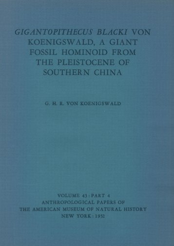GIGANTOPITHECUS BLACKI VON KOENIGSWALD, A GIANT FOSSIL