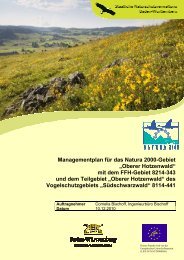 Managementplan fÃ¼r das Natura 2000-Gebiet ... - Hotzenwald LIFE