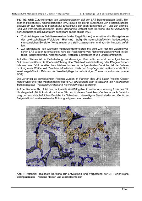 Managementplan fÃ¼r das Natura 2000-Gebiet ... - Hotzenwald LIFE