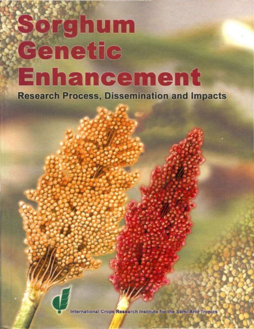 Sorghum Genetic Enhancement Research Process Adia - Asian Paint Color Code 94060