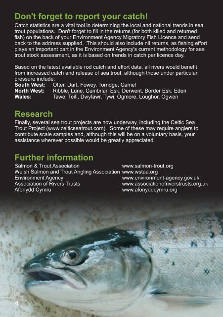 What is a Sea Trout? - Salmon & Trout Association
