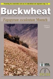 Buckwheat Fagopyrum esculentum Moench - Esporus