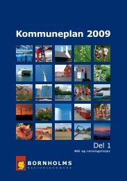 Kommuneplan 2009 - Bornholms Regionskommune