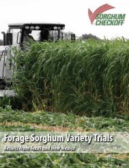 Forage Sorghum Variety Trials - Sorghum Checkoff