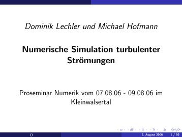Dominik Lechler und Michael Hofmann Numerische Simulation ...
