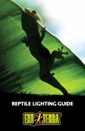 Download Reptile Lighting Guide - Hagen - Rolf C. Hagen Inc.