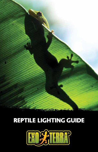 Download Reptile Lighting Guide - Hagen - Rolf C. Hagen Inc.