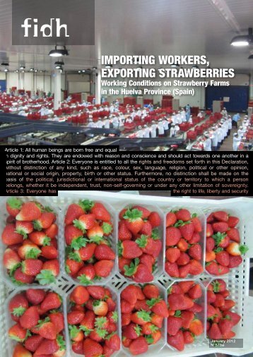 ImportIng Workers, exportIng strAWberrIes - FIDH