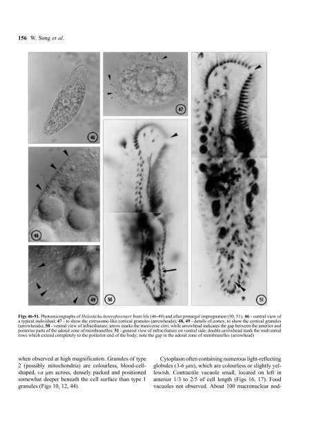 New Contribution to the Morphology and Taxonomy of Four Marine ...