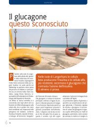 Il glucagone questo sconosciuto - Modus online