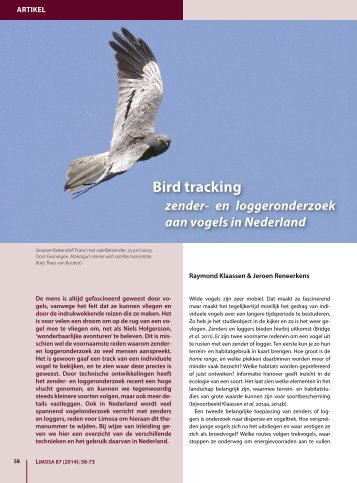 Klaassen-Reneerkens-2014-bird-tracking-in-NL-LIM872-1_Introductie
