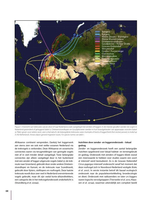 Klaassen-Reneerkens-2014-bird-tracking-in-NL-LIM872-1_Introductie