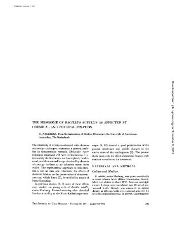 THE MESOSOME OF BACILLUS  SUBTILIS AS AFFECTED BY ...