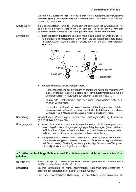 Selbstevaluierung Tier