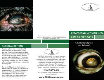 Keratoconjunctivitis Sicca