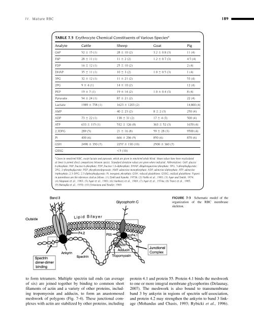 Clinical Biochemistry of Domestic Animals (Sixth Edition) - UMK ...