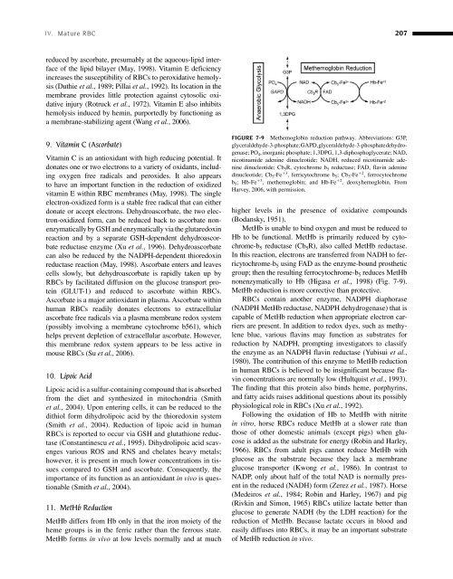 Clinical Biochemistry of Domestic Animals (Sixth Edition) - UMK ...