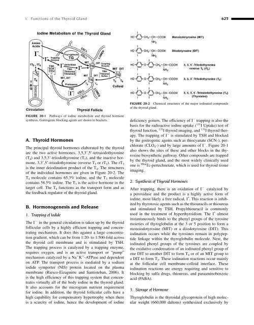 Clinical Biochemistry of Domestic Animals (Sixth Edition) - UMK ...