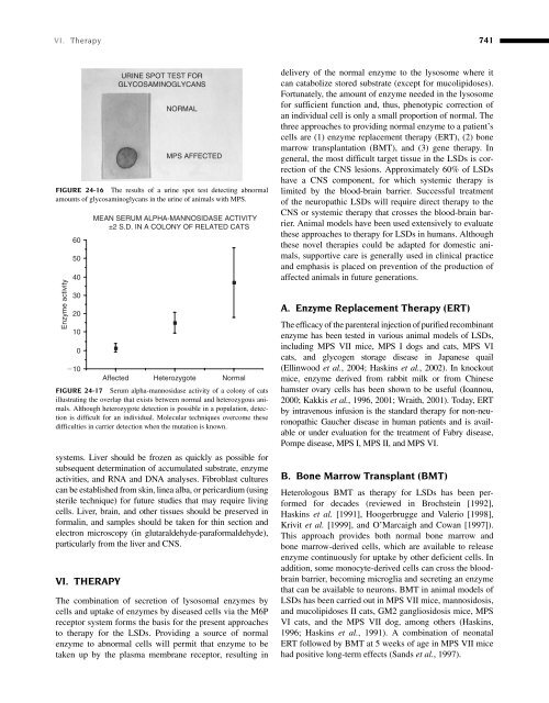 Clinical Biochemistry of Domestic Animals (Sixth Edition) - UMK ...