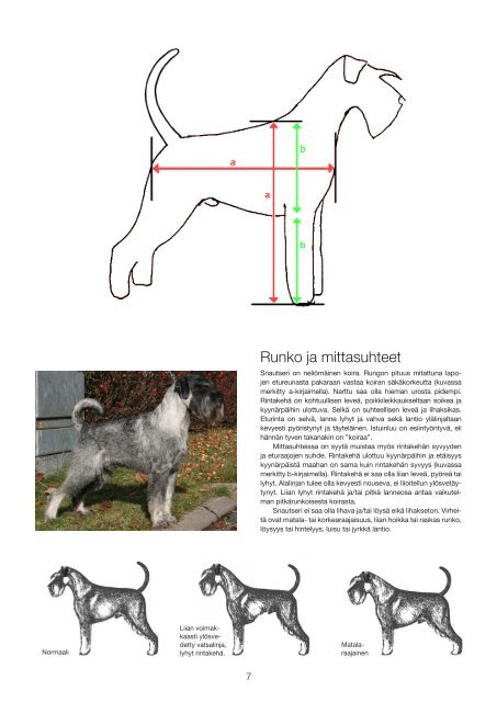 RotumÃ¤Ã¤ritelmÃ¤n Tulkintaohje.pdf