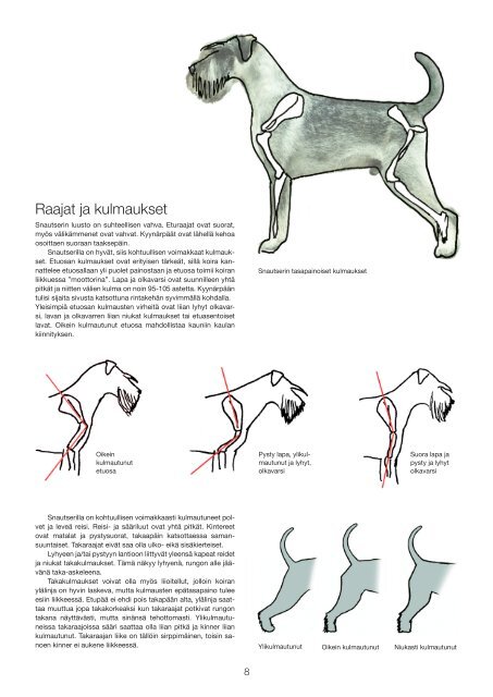 RotumÃ¤Ã¤ritelmÃ¤n Tulkintaohje.pdf