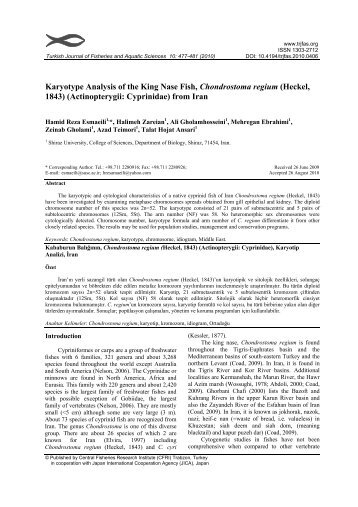 Karyotype Analysis of the King Nase Fish, Chondrostoma regium ...