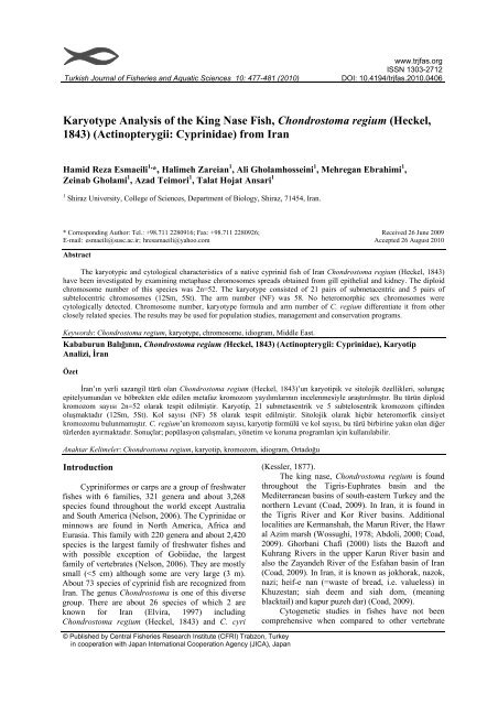 Karyotype Analysis of the King Nase Fish, Chondrostoma regium ...