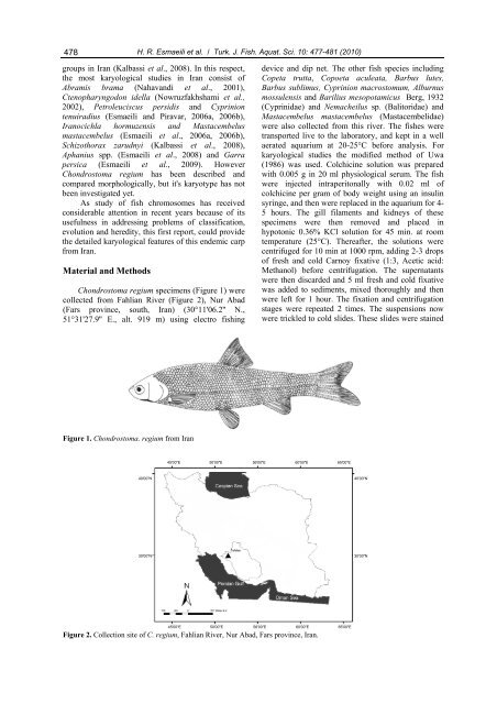 Karyotype Analysis of the King Nase Fish, Chondrostoma regium ...