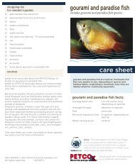mosquito fish petco