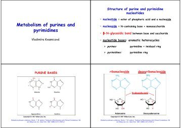 Metabolism of purines and pyrimidines