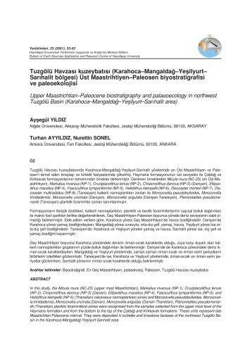 Fulltext - YERBÄ°LÄ°MLERÄ°-Bulletin for Earth Sciences - Hacettepe ...