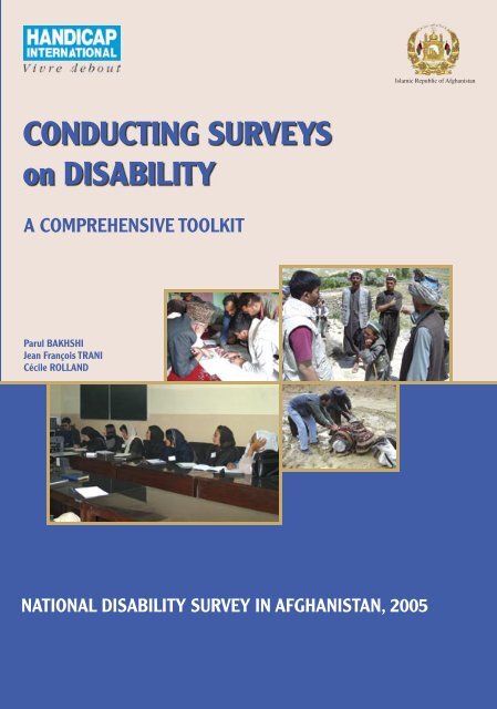 Conducting Surveys On Disability A Prehensive Toolkit