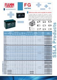 catalogo pdf - Blu Batterie