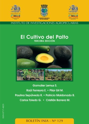 El cultivo del palto. Tercera ediciÃ³n. BoletÃ­n INIA 129 ... - Platina - INIA